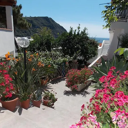 Gasthuis Loreta Forio di Ischia