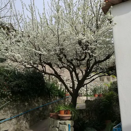 Loreta Gasthuis Forio di Ischia