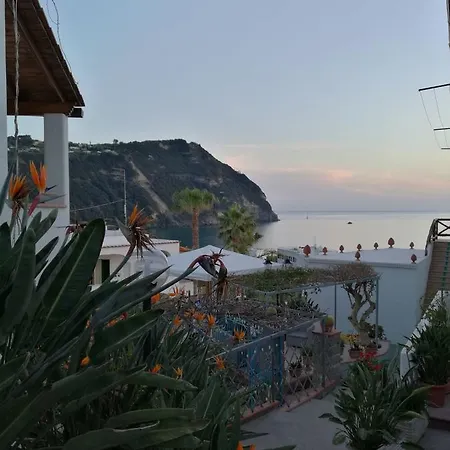 Loreta 2* Forio (Isola d'Ischia)